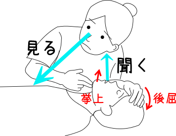 A(気道)B(呼吸)の確認イメージ