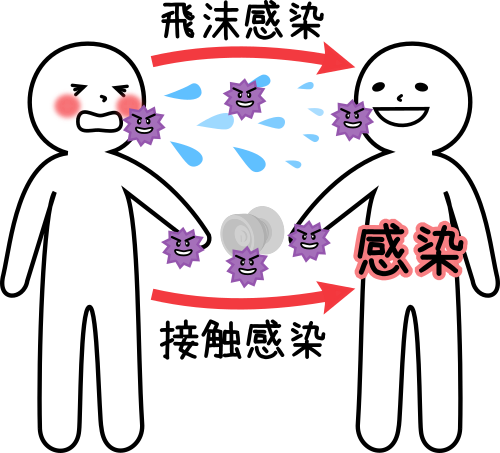 飛沫感染と接触感染イメージ図