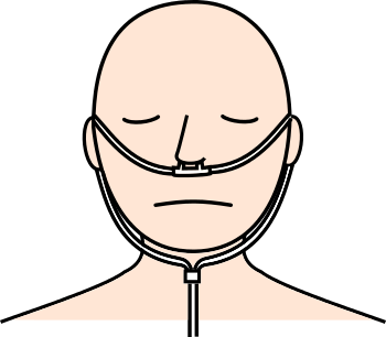 酸素吸入の種類、鼻腔カニューレイメージ