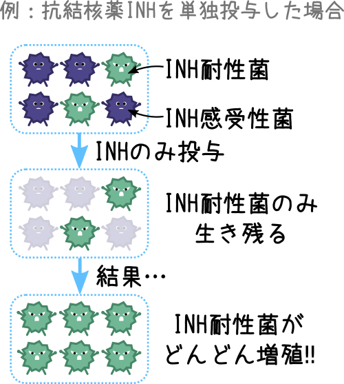 結核治療で多剤併用する理由（イメージ図）