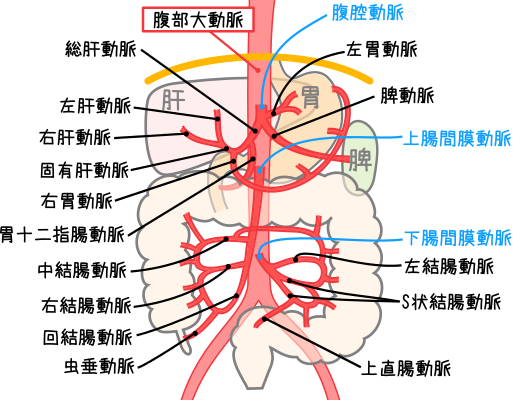 医師の診察を受ける時期