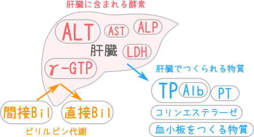 結果が何を意味するか